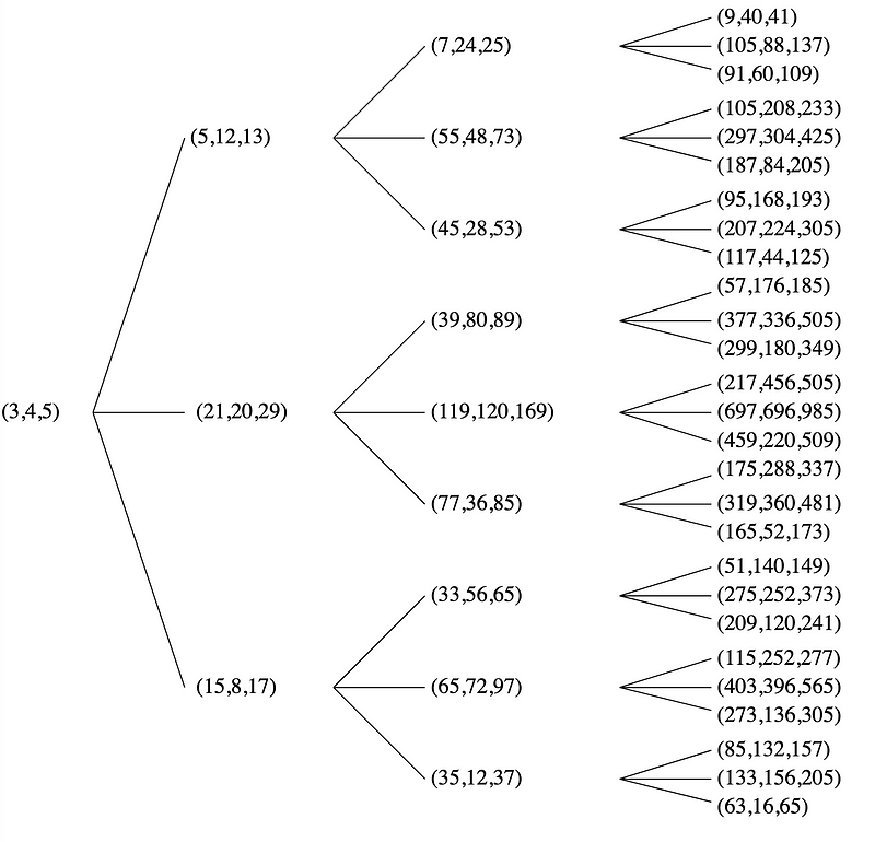 Building strongly typed vectors and matrices in TypeScript